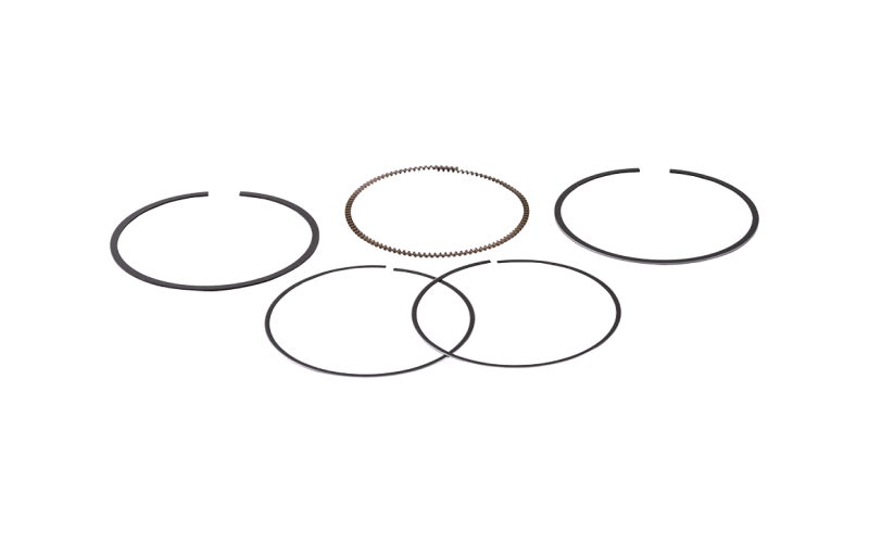 Piston & Ring Set
